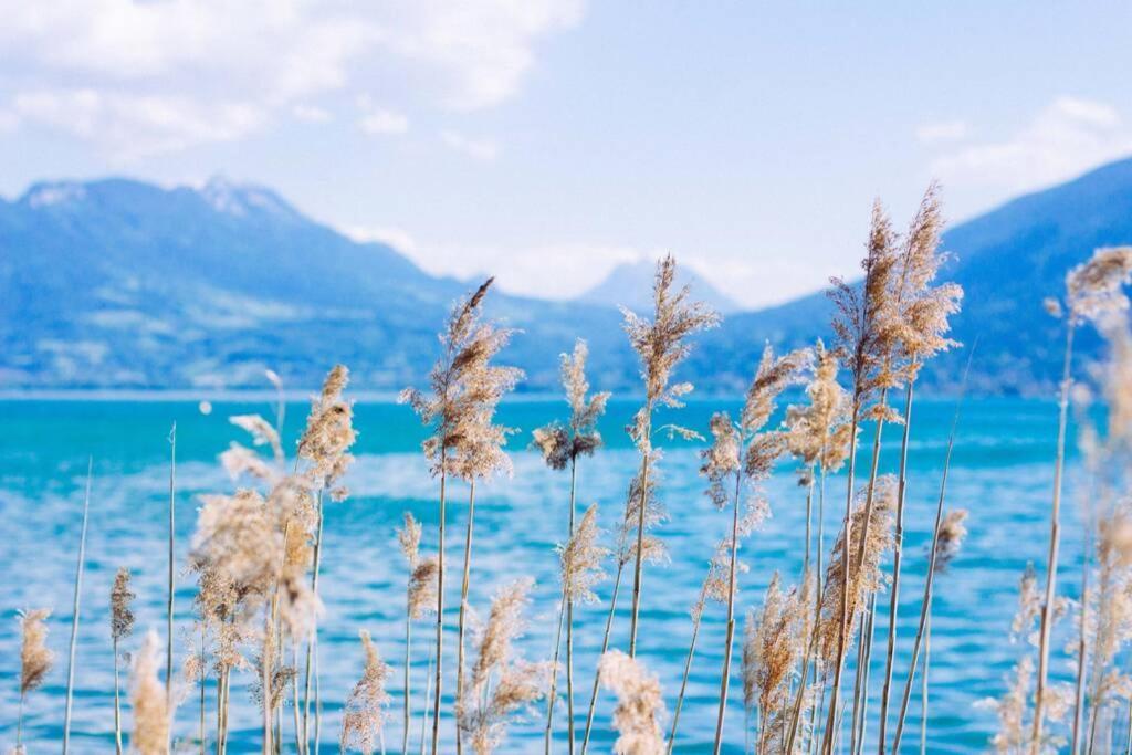 Le Continental Beau T2 Plein Centre + Parking Apartment Annecy Exterior foto